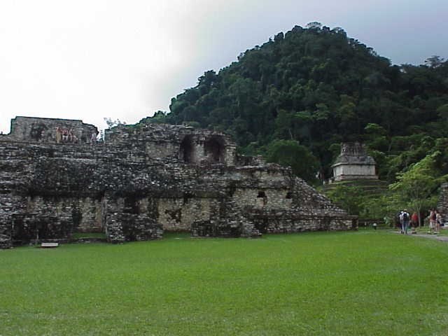 maya100.jpg