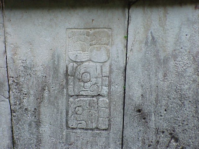 mvc441.jpg