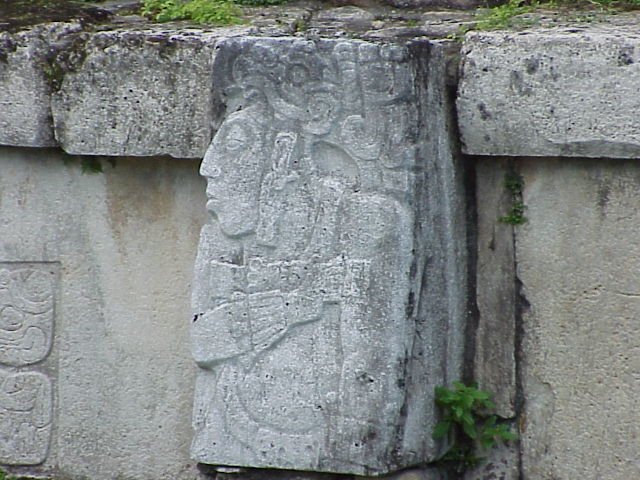 mvc445.jpg